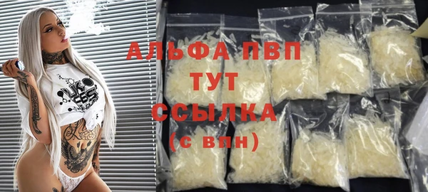 стаф Абинск